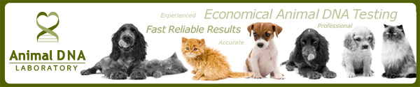 Animal DNA